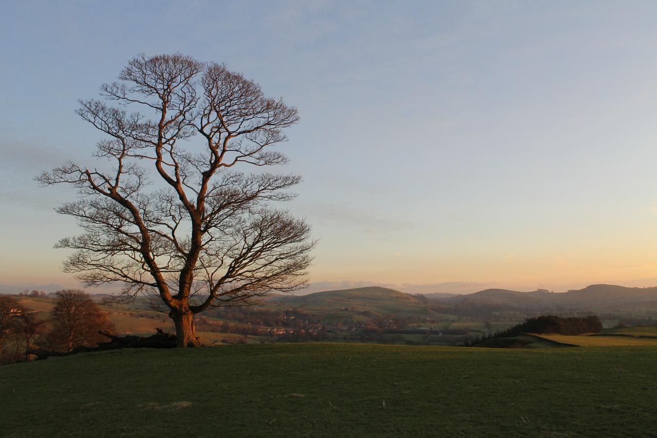 Biggin Hall Country House Hotel ハーティントン エクステリア 写真